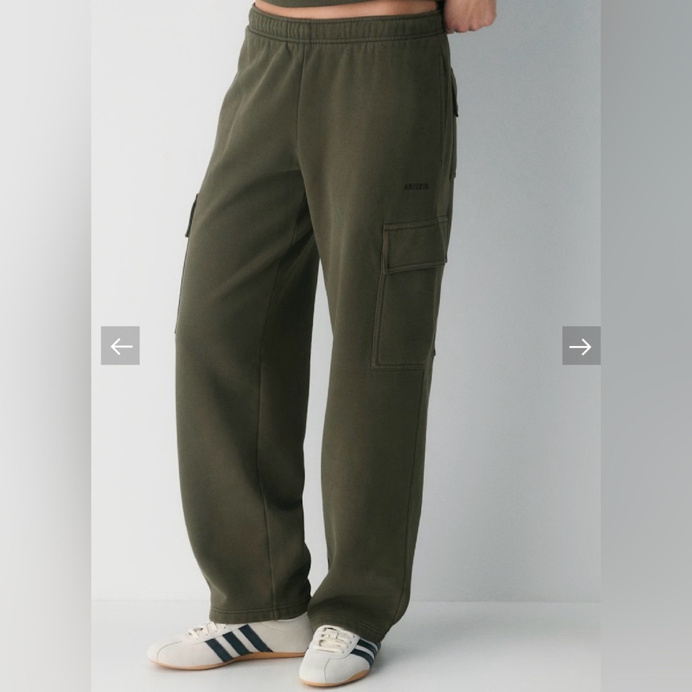 Aritzia Cargo Pants